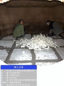 怀化市辰溪县红敏水厂更换滤板滤料